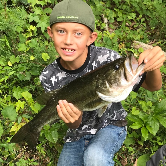 Meet your Posher, Connor - Picture 1 of 1